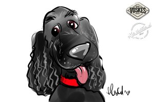 Animal Event Voskes 2